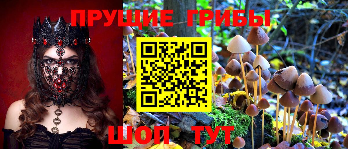 Галлюциногенные грибы ЛСД Усть-Джегута